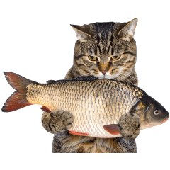 [LINEスタンプ] ぎゅっと抱きしめ猫の日常スタンプ