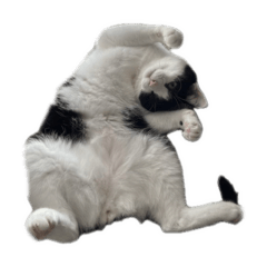 [LINEスタンプ] ハチチャーチークルモン