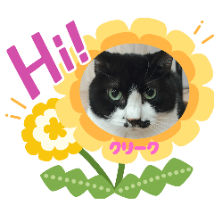 [LINEスタンプ] 保護猫カフェねこかつ下僕によるスタンプ