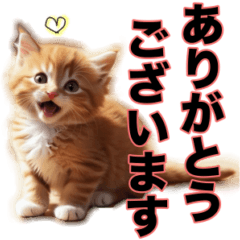[LINEスタンプ] 毎日のふわふわ子猫スタンプ