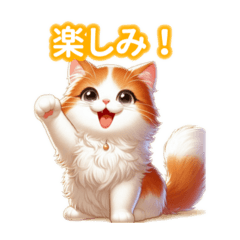 [LINEスタンプ] とにかくかわいい ターキッシュ・バン