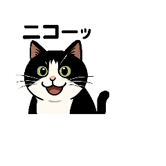 [LINEスタンプ] 白黒猫の日常。