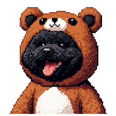 [LINEスタンプ] クマさん着ぐるみトイプードル 黒 日常会話