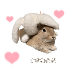 [LINEスタンプ] うさぎのRARAスタンプ