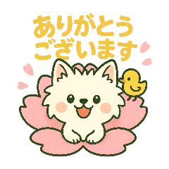 [LINEスタンプ] 【しろいぬ】何度でも使える日常会話