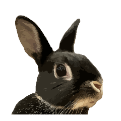 [LINEスタンプ] うさぎ島（大久野島）のかわいいうさぎたち