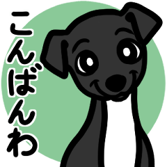 [LINEスタンプ] 【ブラック4】1年中使える♡パピーイタグレ
