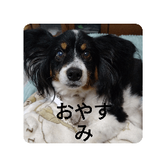[LINEスタンプ] けいたとたろう