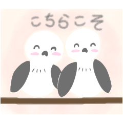 [LINEスタンプ] 猫たまオリジナル、シマエナガのスタンプ