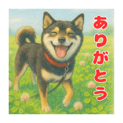 [LINEスタンプ] 黒柴わさび・詰め合わせスタンプ