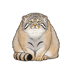 [LINEスタンプ] 汎用マヌルネコスタンプ3