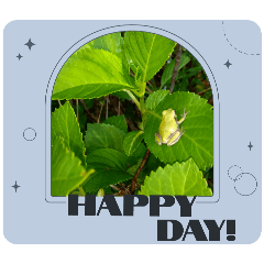 [LINEスタンプ] Myflawergarden18