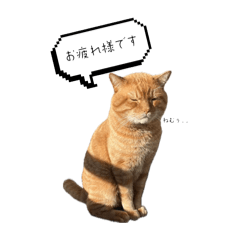 [LINEスタンプ] mugi 日常編2