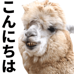 [LINEスタンプ] アルパカのBIGスタンプ