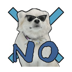 [LINEスタンプ] 賢賢犬（かしこかしこドッグ）3