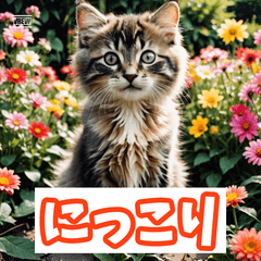 [LINEスタンプ] ひとこと子猫スタンプ