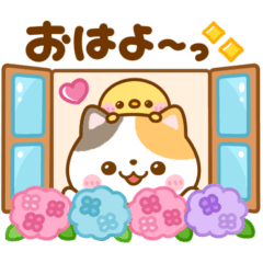 [LINEスタンプ] 梅雨初夏♡ねこねこにゃんこ