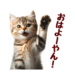 [LINEスタンプ] 可愛い子猫の日常-8