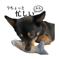 [LINEスタンプ] RuruMM
