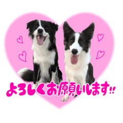 [LINEスタンプ] アンジー＆エマ