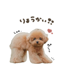 [LINEスタンプ] ロアくん☆mix