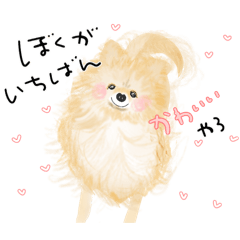 [LINEスタンプ] ポメのぽんちゃんのハルハル(お留守番)