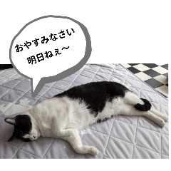 [LINEスタンプ] クロちゃんシロちゃん 2️⃣