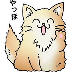 [LINEスタンプ] もうもふにゃんこ その1