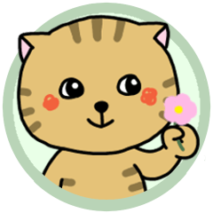 [LINEスタンプ] いろんな色の可愛い猫ちゃん