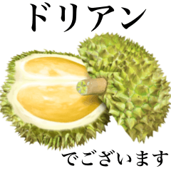 [LINEスタンプ] 【敬語】熟した ドリアン