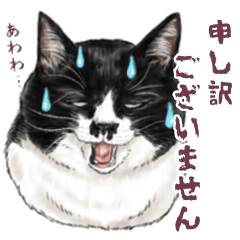 [LINEスタンプ] 敬語編 猫にまみれたがりのスタンプ