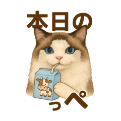 [LINEスタンプ] 意外と使える！猫caféRagDollおふざけVer.