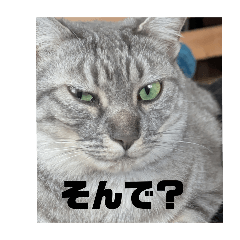 [LINEスタンプ] サンとアッシュとルー
