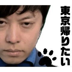 [LINEスタンプ] THEMEETS 2025/5