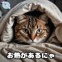[LINEスタンプ] 風邪の日の猫