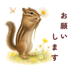 [LINEスタンプ] シマリスうりちゃん♡日常♡よく使う♡