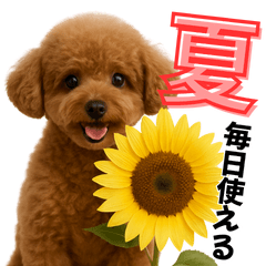[LINEスタンプ] 夏に使える♡かわいいトイプードル