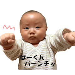 [LINEスタンプ] はーくんっ⋆*
