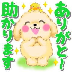 [LINEスタンプ] かわいいトイプードル❤️デカ文字