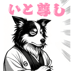 [LINEスタンプ] 武士ボーダーコリーが参る！