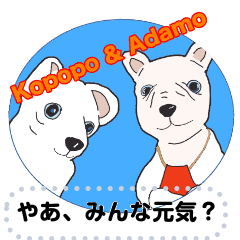 [LINEスタンプ] 2匹の犬の楽しいメッセージスタンプ（1)