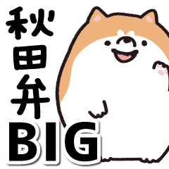 [LINEスタンプ] 秋田弁 BIGスタンプ