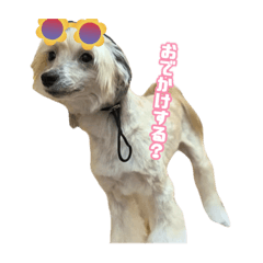 [LINEスタンプ] チャイクレのチビ