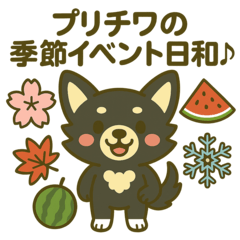 [LINEスタンプ] プリチワの季節イベント日和♪