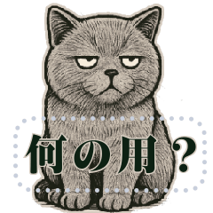 [LINEスタンプ] ブリティッシュショートヘ《アメッセスタ》