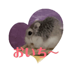 [LINEスタンプ] ハムハムたちの日常