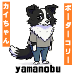 [LINEスタンプ] ボーダーコリーのカイの喜怒哀楽スタンプ 1
