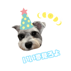 [LINEスタンプ] 愉快な仲間たち実写版