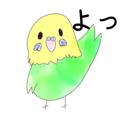 [LINEスタンプ] かわいい色んな色のインコちゃん