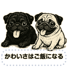 [LINEスタンプ] パグ犬の 《メッセージスタンプ》